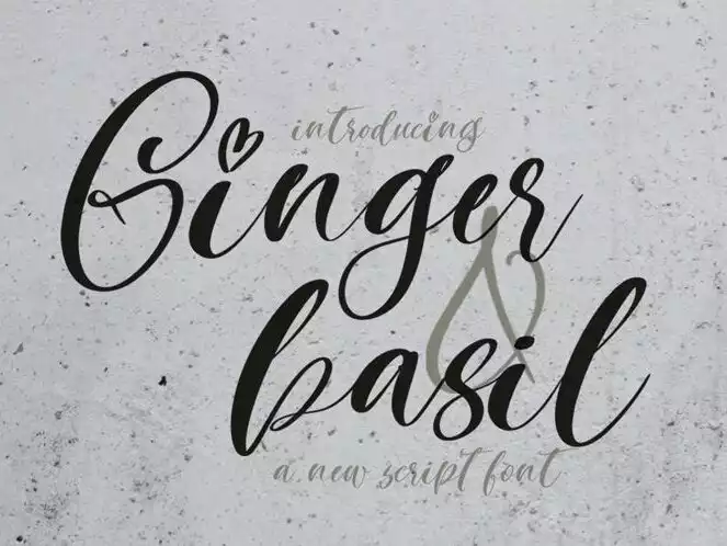 Ginger & Basil Script Font - FontBundles