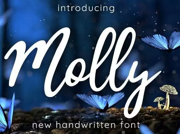 Molly Font - FontBundles